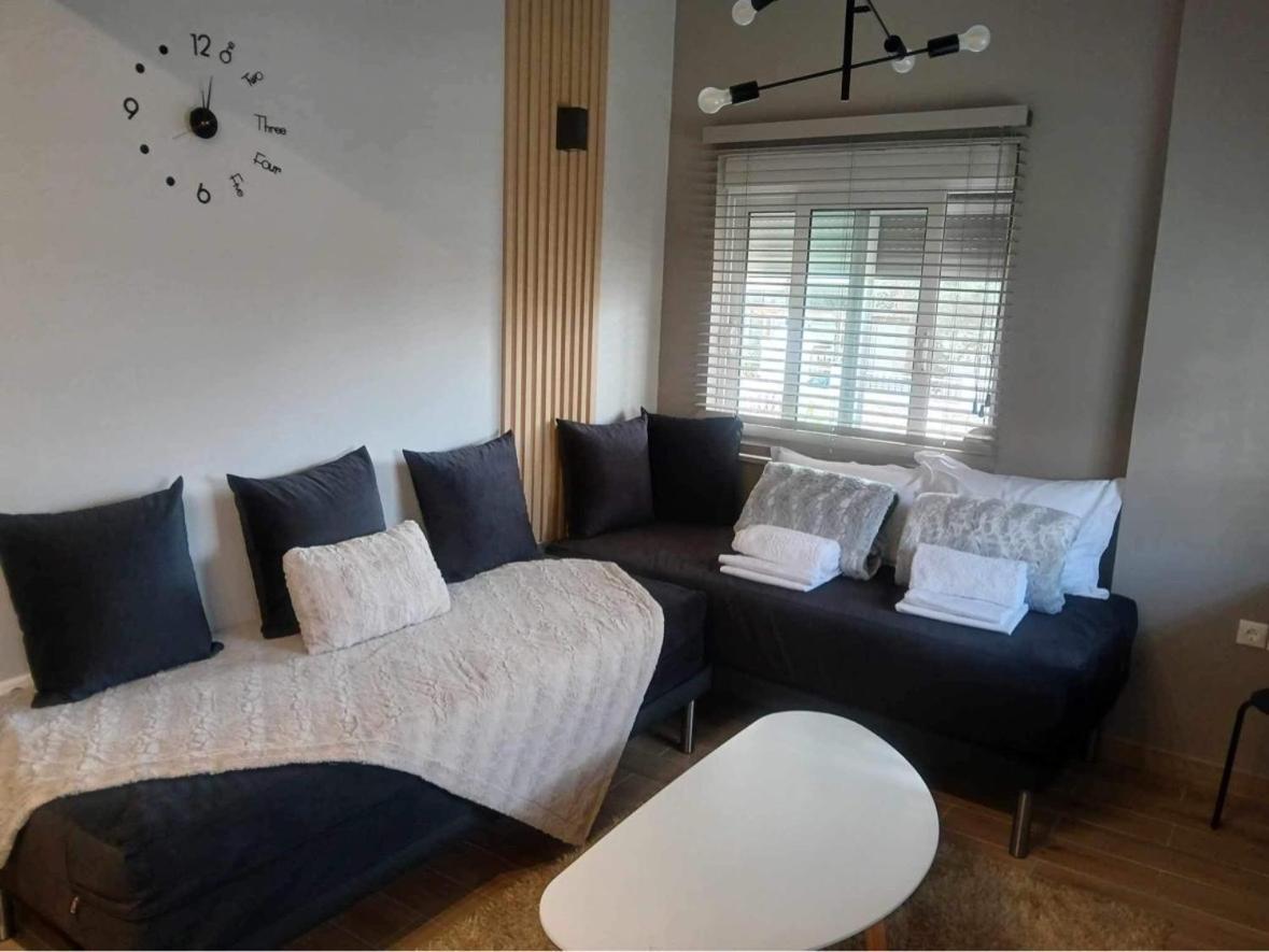 Alexander Luxury Sea Apartments Nea Chili Экстерьер фото
